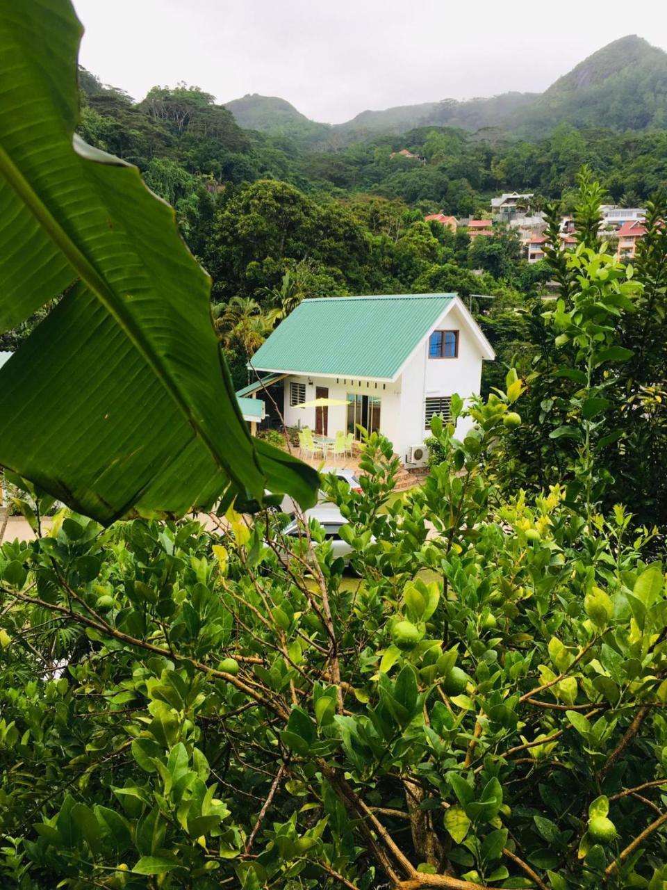 Loversnest Self Catering Anse aux Pins Eksteriør billede